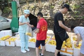 娱乐吃瓜酱贫困户,揭秘贫困户背后的真实故事